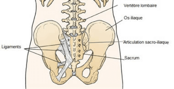 Traitement de l'articulation sacro-iliaque | Clinique Physio St-Hubert